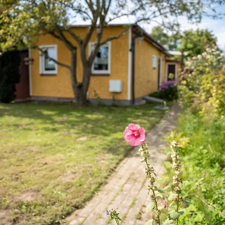 Tatil Evi 